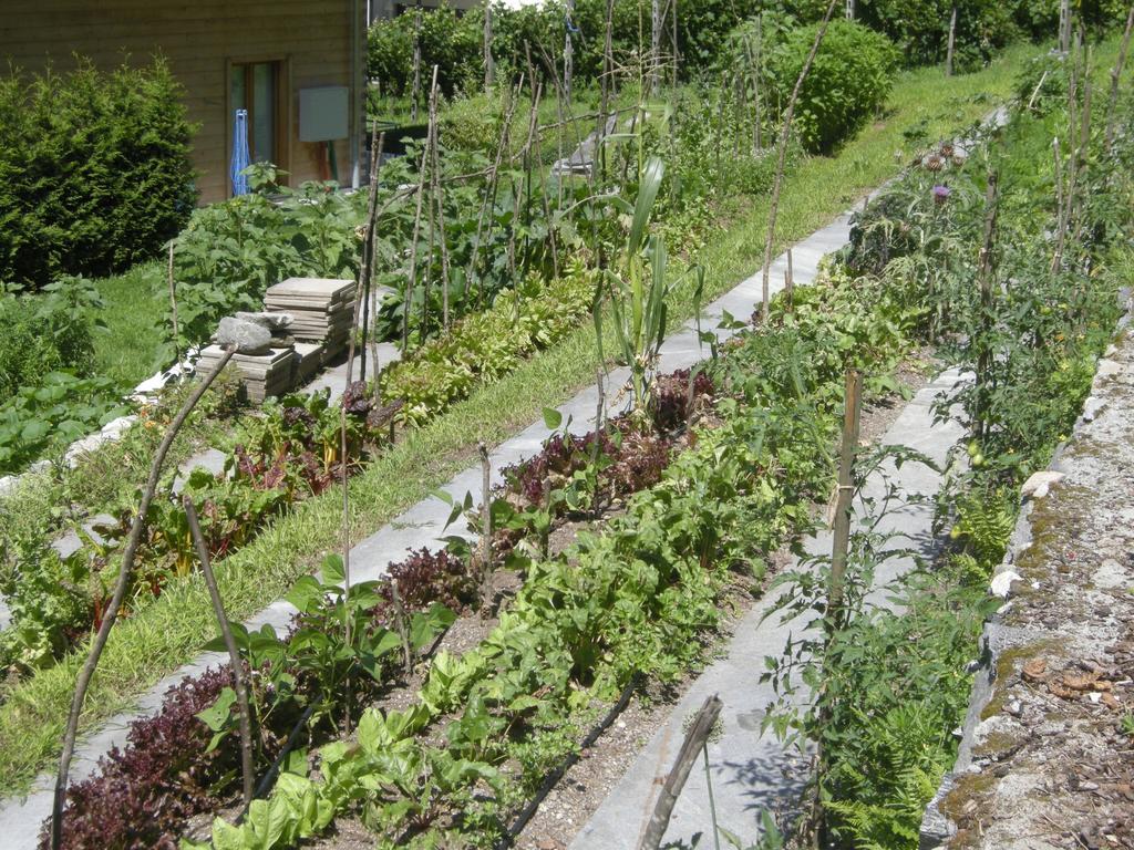 Eco-Hotel Cristallina Coglio Luaran gambar