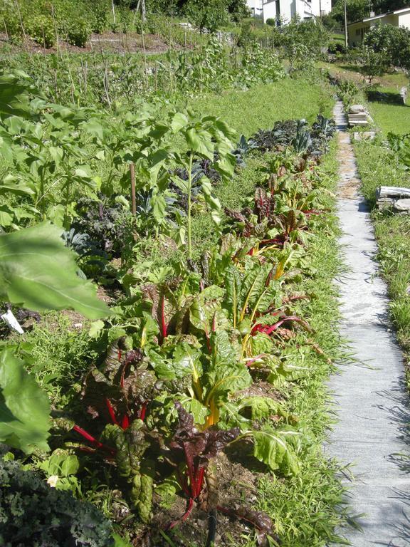Eco-Hotel Cristallina Coglio Luaran gambar